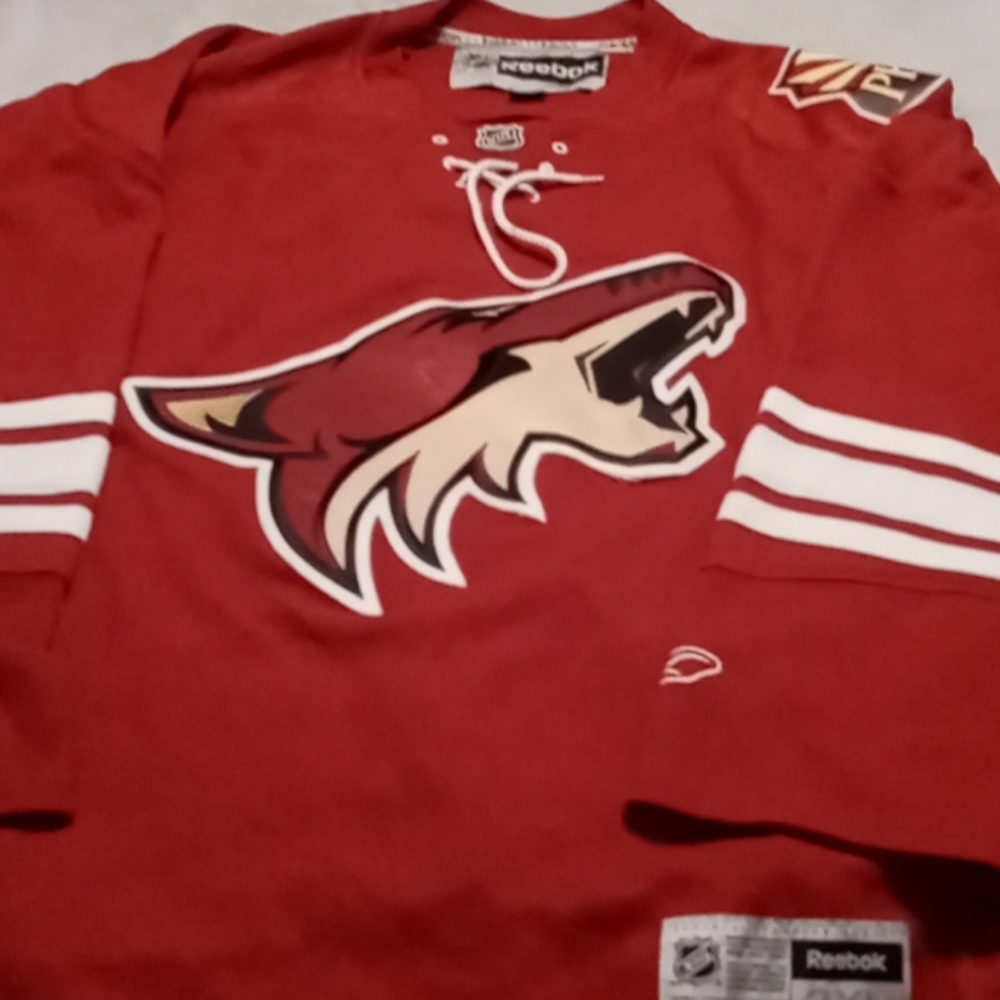 Men's 3X Reebok Officially Licensed Hockey Jersey